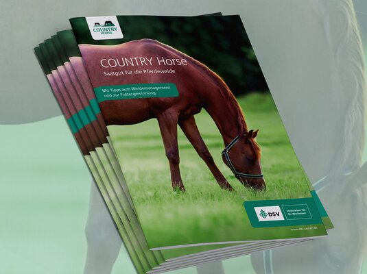 Ein Stapel COUNTRY Horse Magazine mit Fotos von Pferden und grünen Weideflächen.