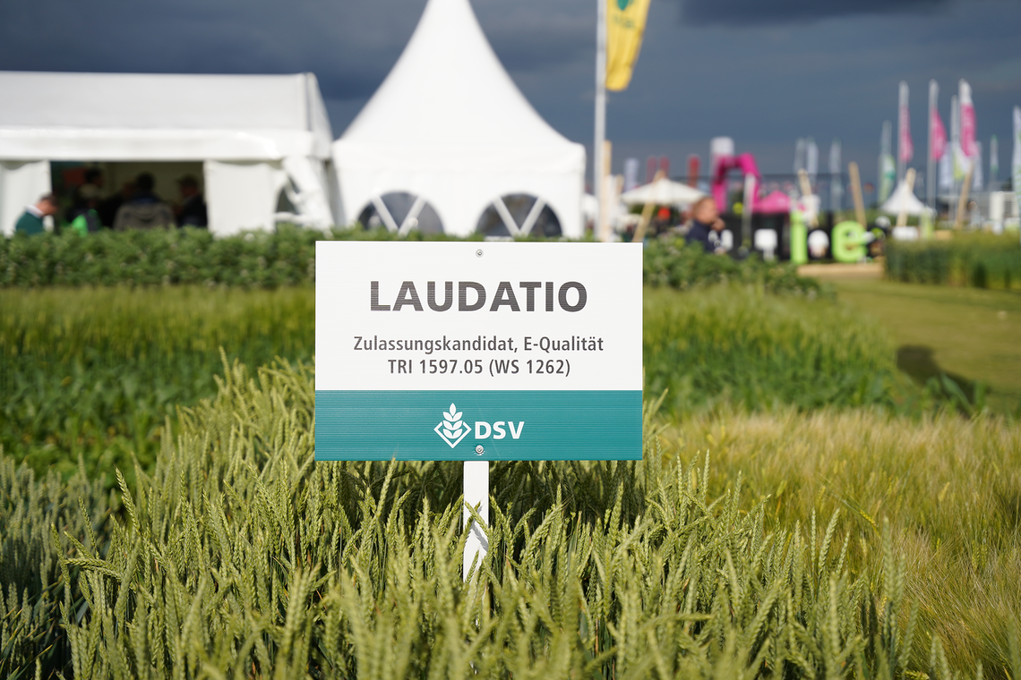 Laudatio-1
