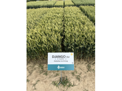 Django-2