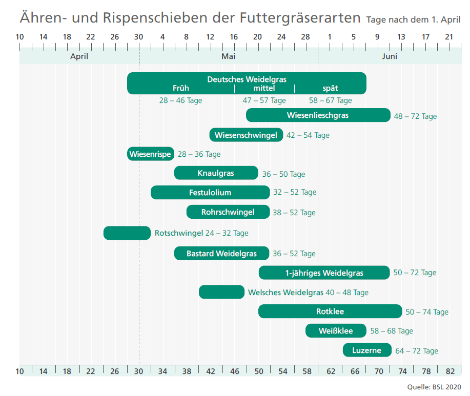 Diagramm zum Ähren- und Rispenschieben verschiedener Futtergräserarten.