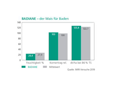 Badiane-2