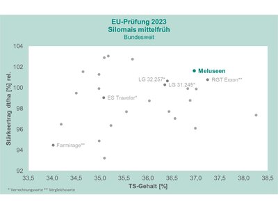 Meluseen-2
