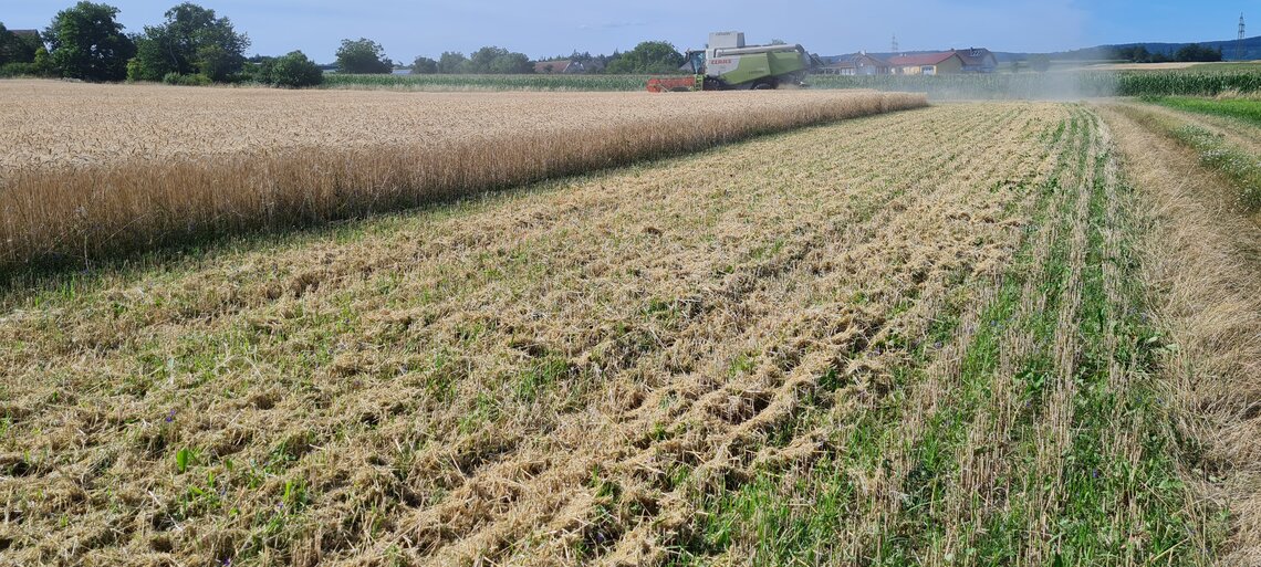 TerraLife® - CerealPro -6