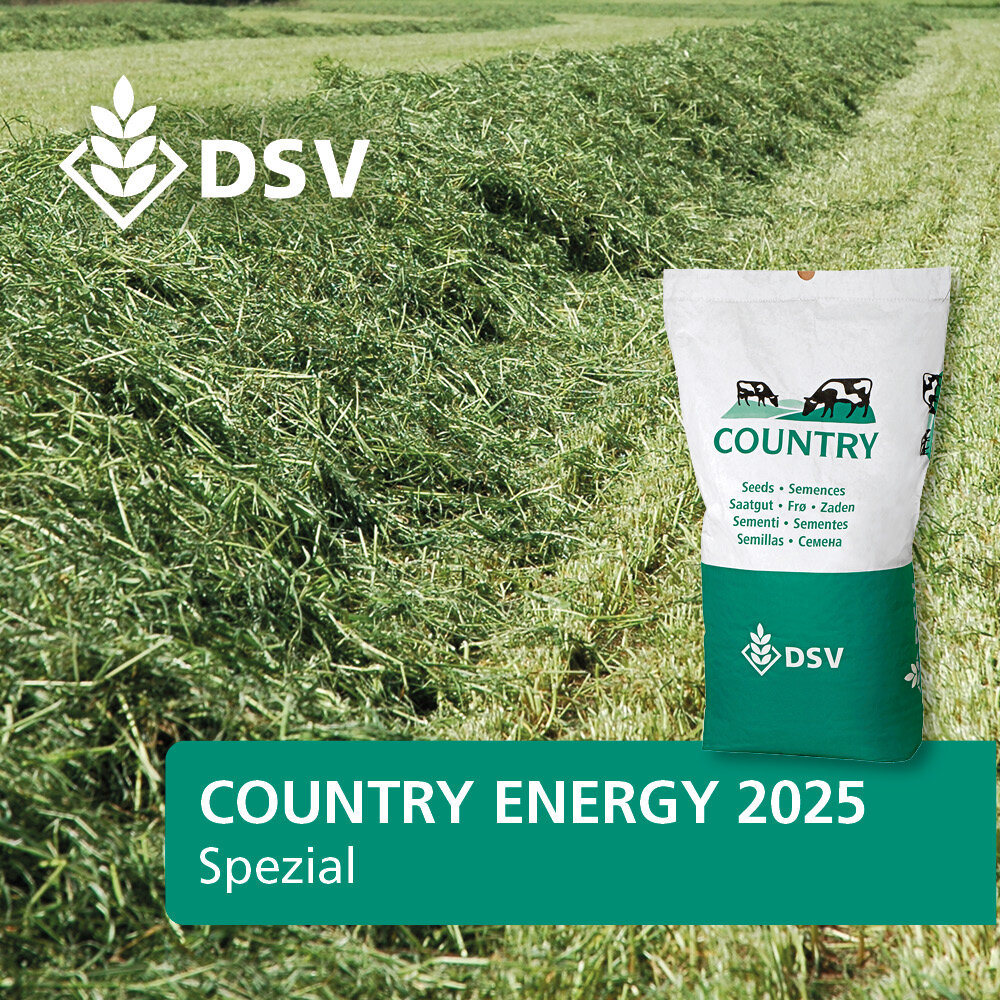 COUNTRY Energy 2025-0