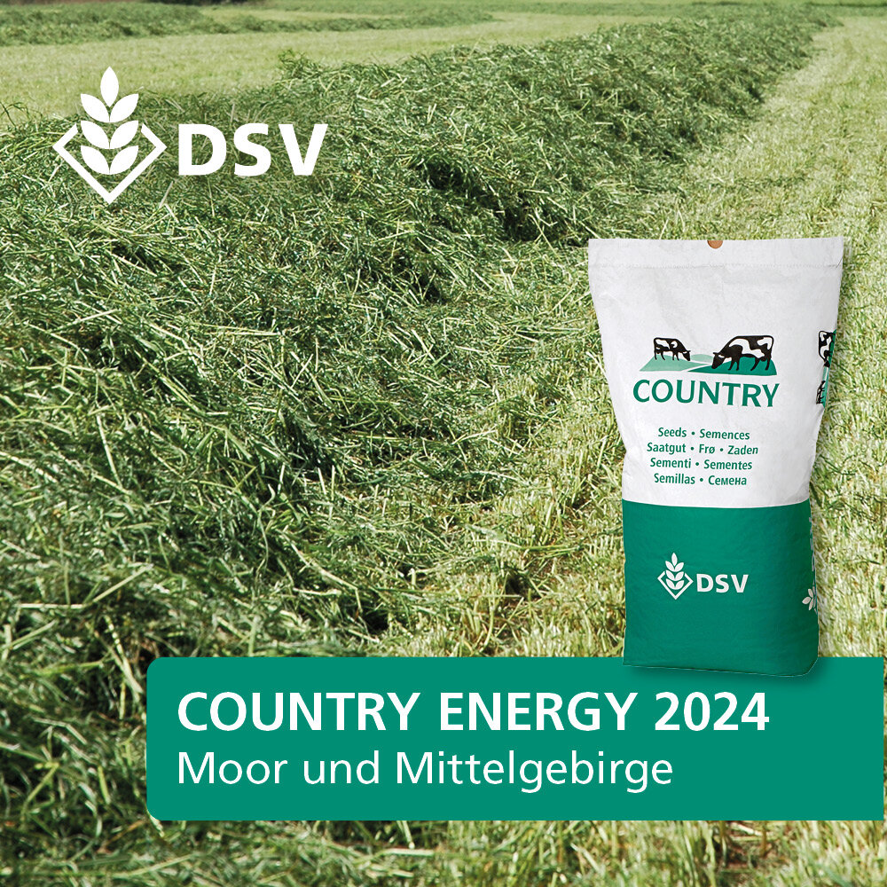 COUNTRY Energy 2024-0