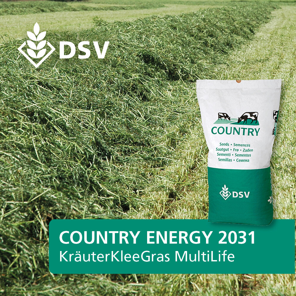 COUNTRY Energy 2031-0
