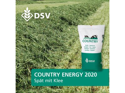 COUNTRY Energy 2020-0