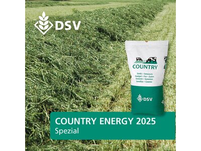 COUNTRY Energy 2025-0