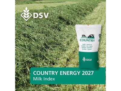 COUNTRY Energy 2027-0