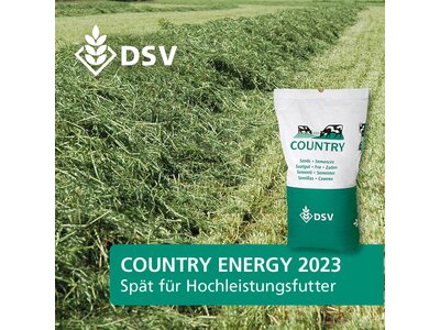 COUNTRY Energy 2023-0