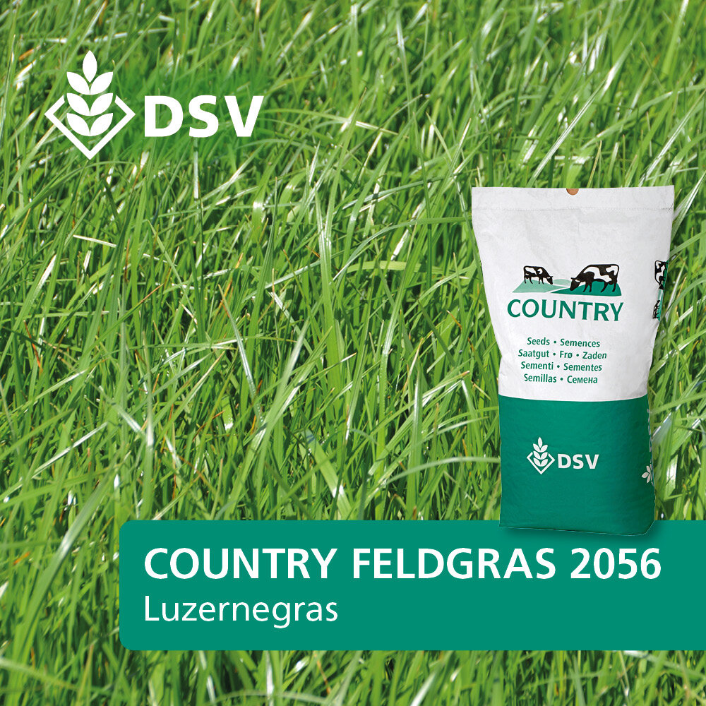 COUNTRY Feldgras 2056-0