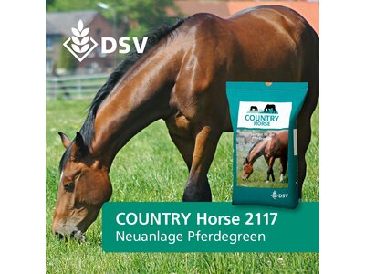COUNTRY Horse 2117-0