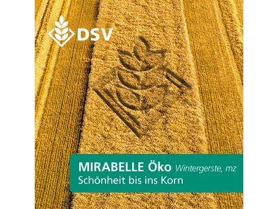 Mirabelle Öko-0