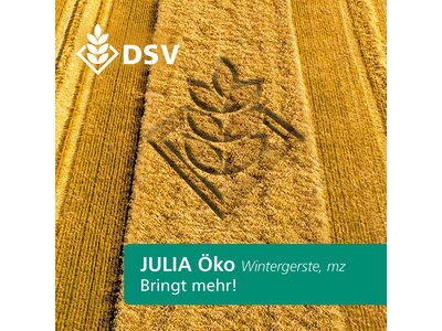 Julia Öko-0