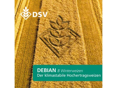 Debian-0