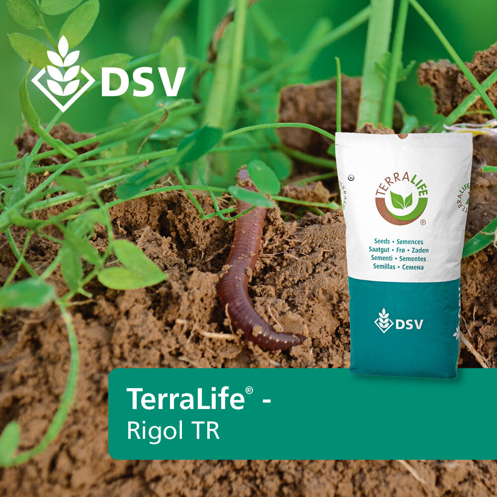 TerraLife® - Rigol TR-0