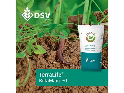 TerraLife® - BetaMaxx 30-0