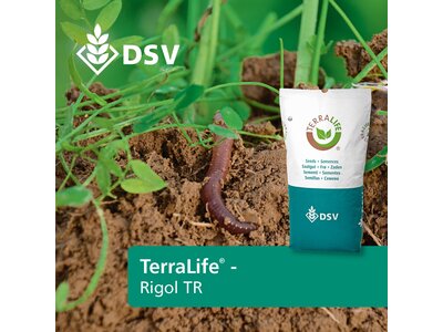 TerraLife® - Rigol TR-0
