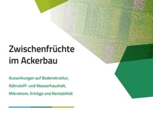 Titelbild einer Broschüre über Zwischenfrüchte im Ackerbau