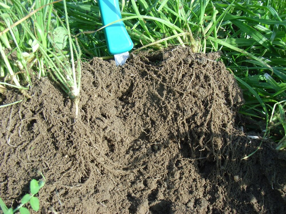 TerraLife® - Landsberger Gemenge-3