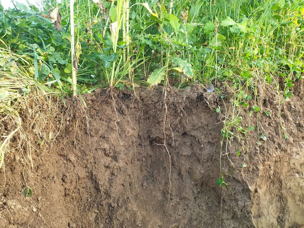 TerraLife® - MaisPro TR 50-4