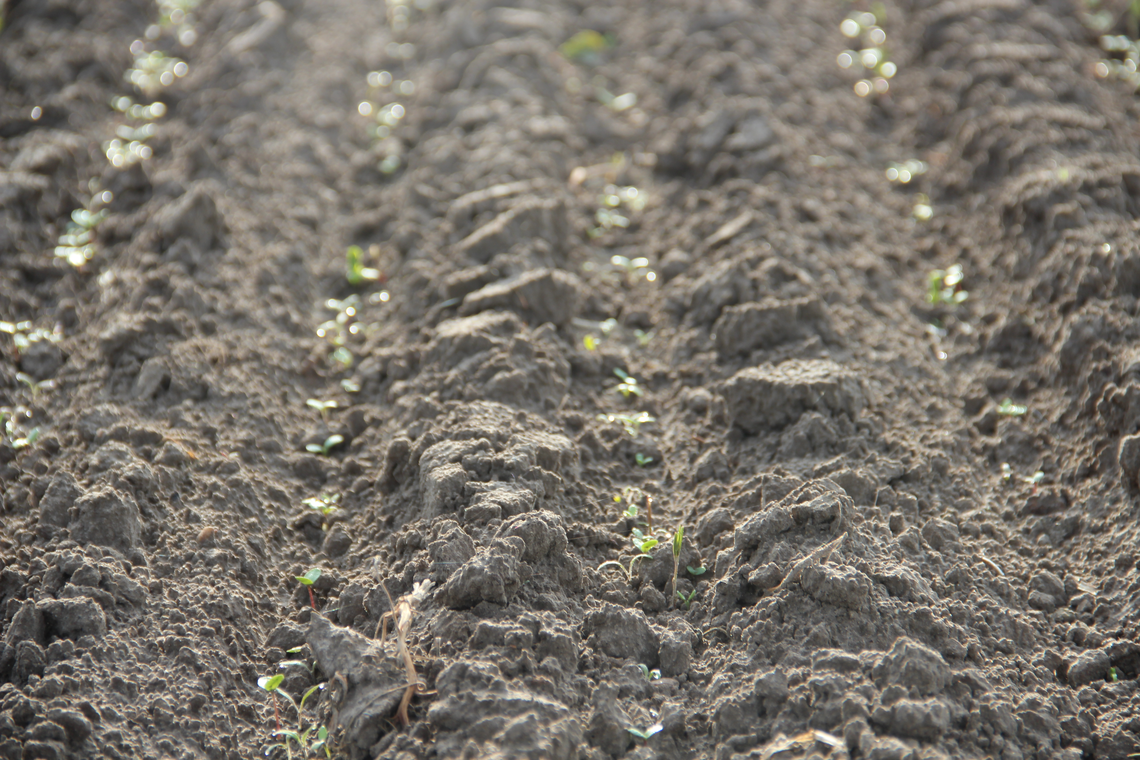 TerraLife® - N-Fixx 50-3