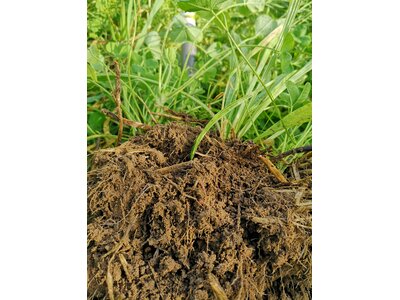 TerraLife® - SoilProtect-3