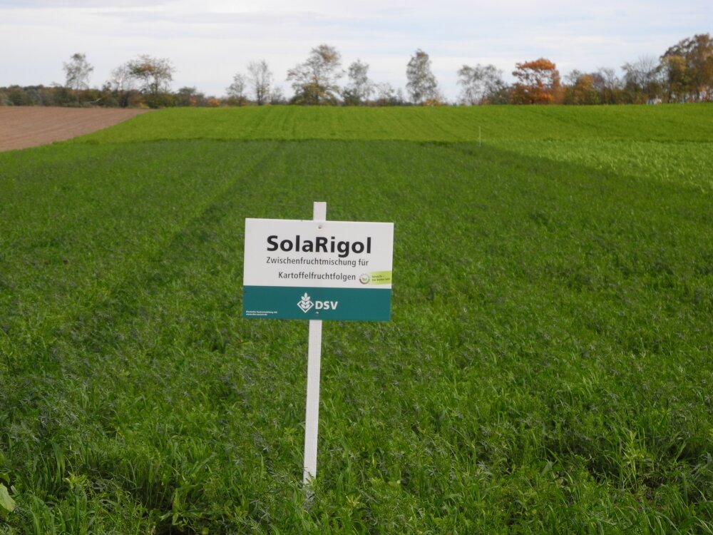 TerraLife® - SolaRigol-3