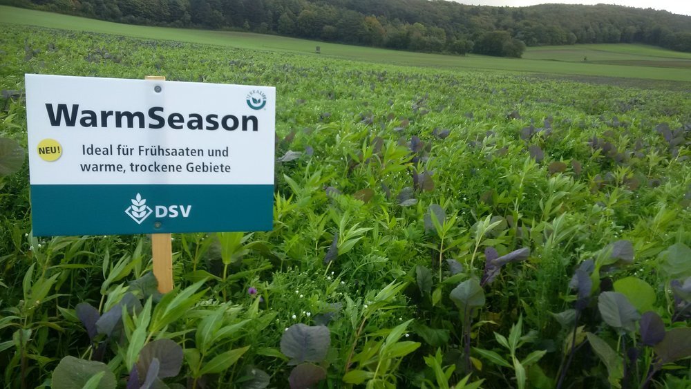 TerraLife® - WarmSeason-2