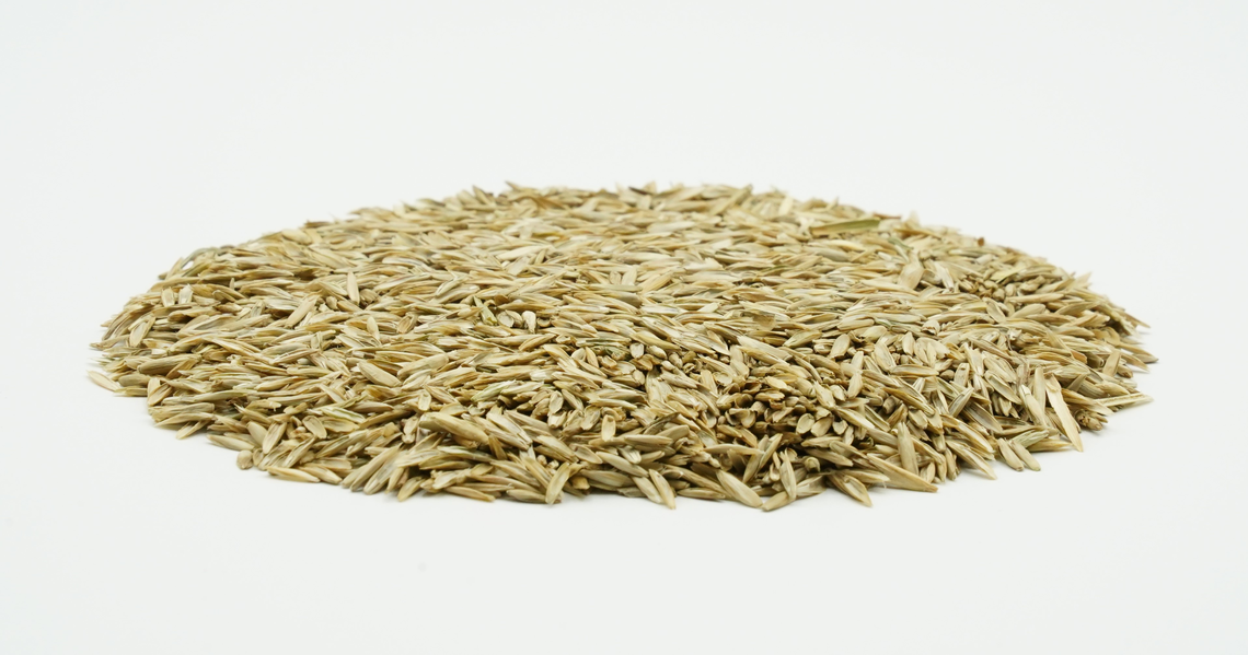 COUNTRY Energy 2020-2