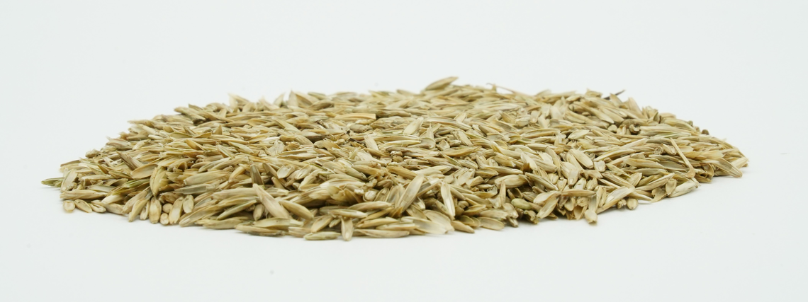 COUNTRY Grünland 2440 Organic-2