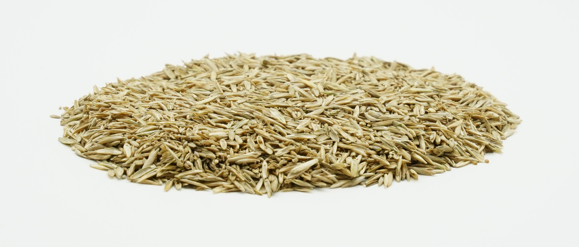 COUNTRY Energy 2025-2