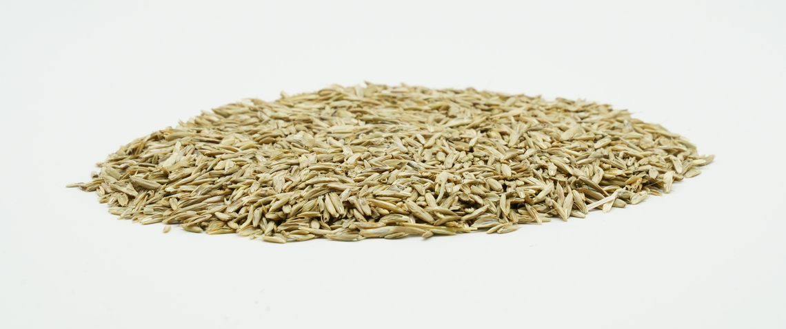 COUNTRY Feldgras 2049-2