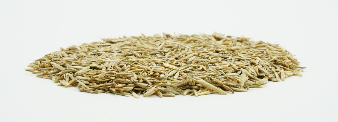 COUNTRY Feldgras 2053 -2