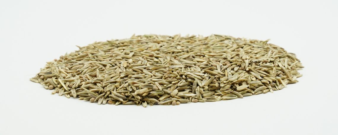 COUNTRY Feldgras 2054-2