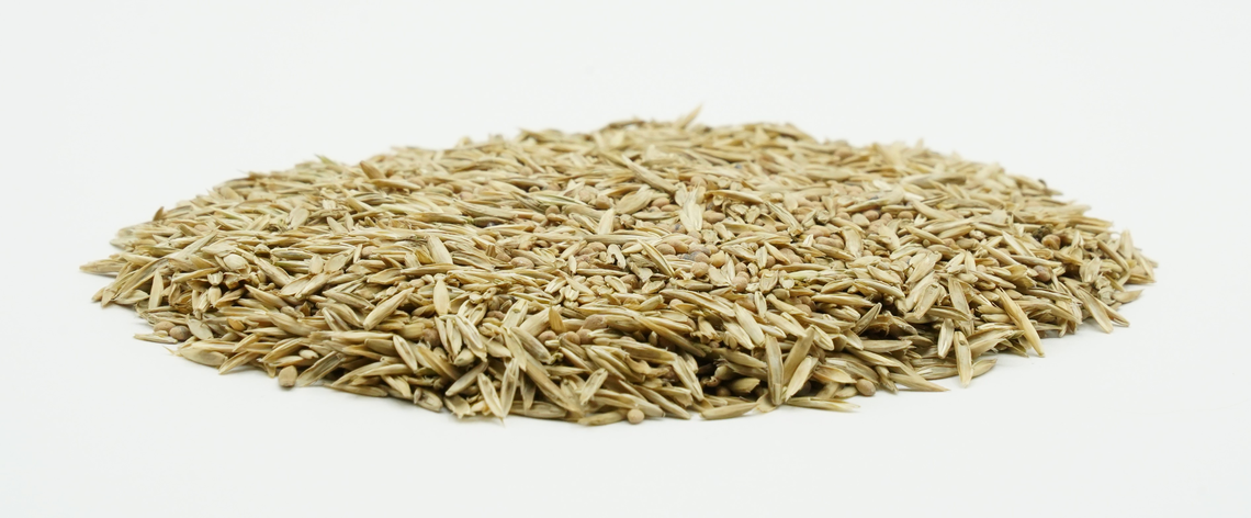 COUNTRY Feldgras 2055 -2