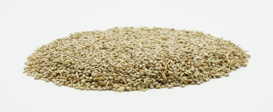 COUNTRY Feldgras 2061-2