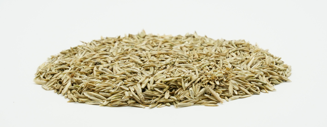 COUNTRY Grünland 2002 -2