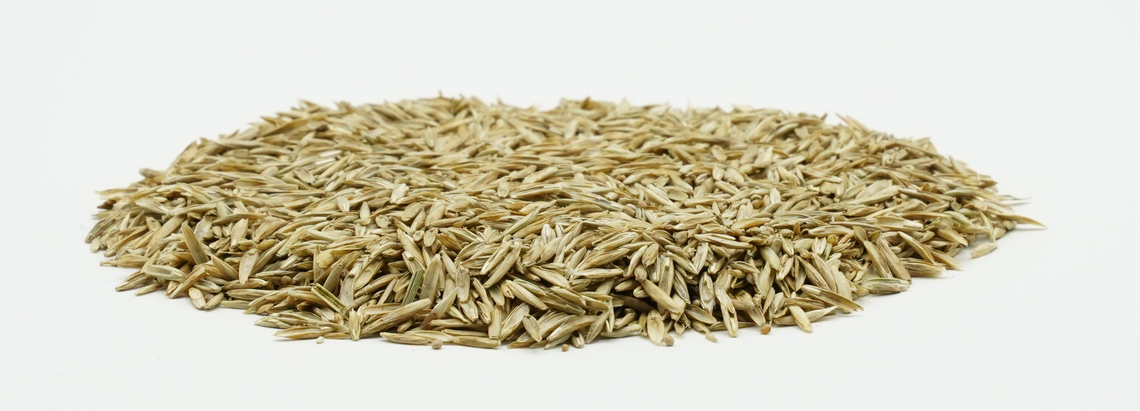 COUNTRY Grünland 2010-2