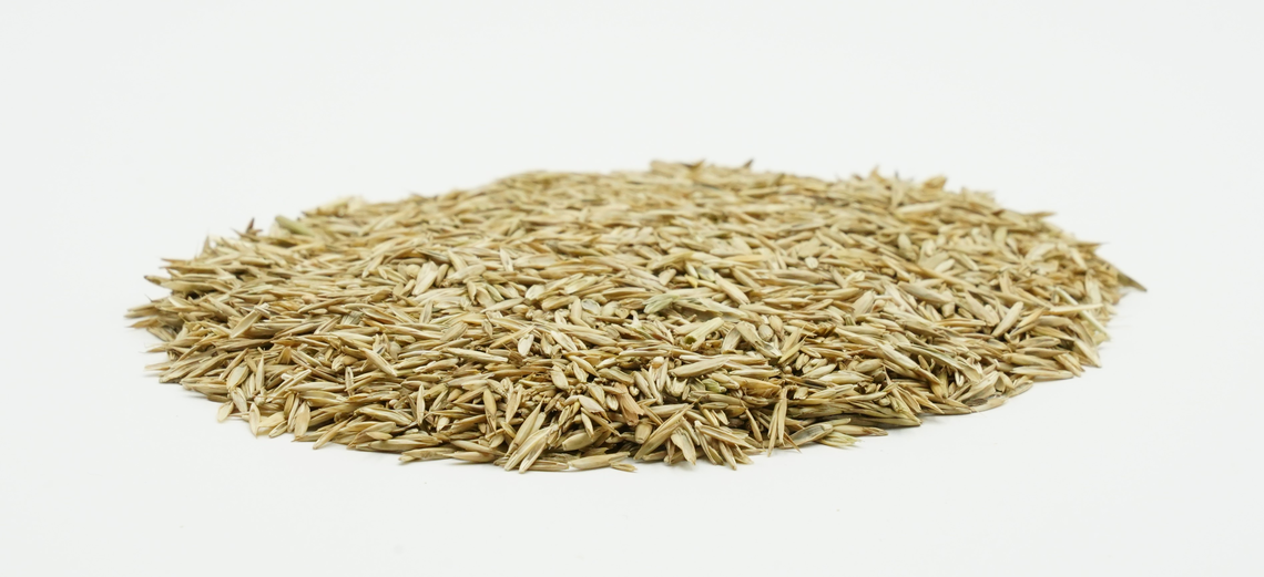 COUNTRY Horse 2116-2