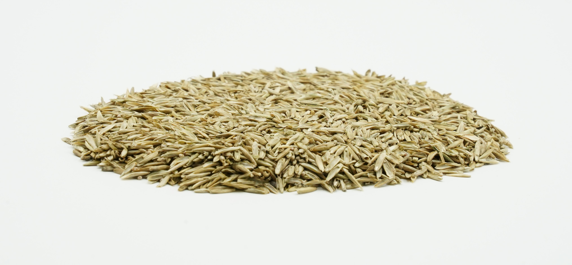 COUNTRY Grünland 2461 Organic-2