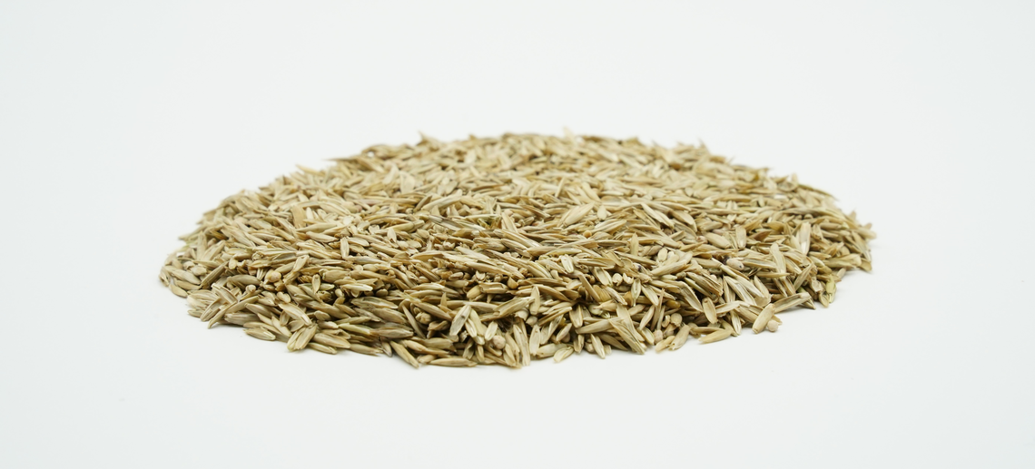 COUNTRY Grünland 2471 Organic-2