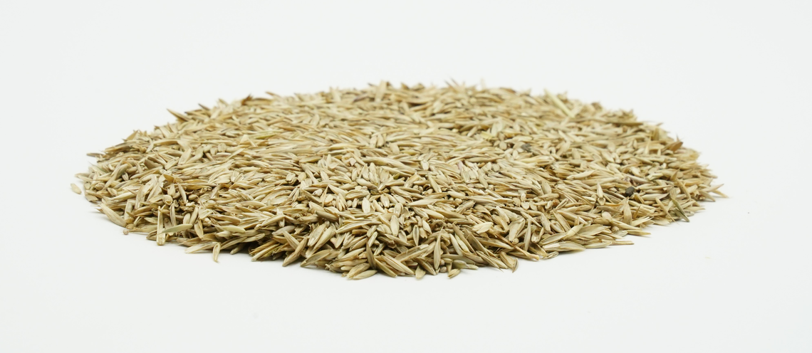 COUNTRY Grünland 2466 Organic-2