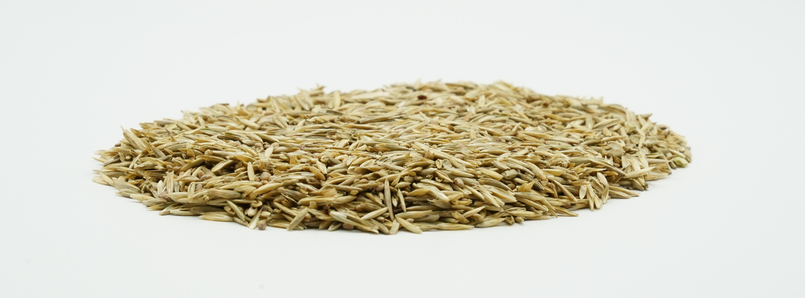 COUNTRY Feldgras 2482 Organic-2