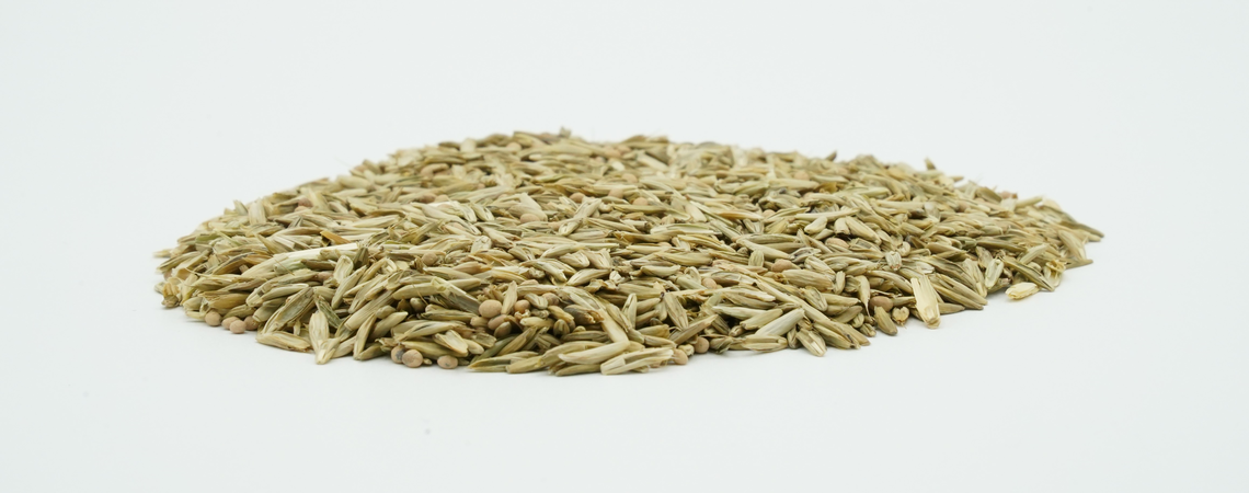 COUNTRY Feldgras 2487 Organic-2