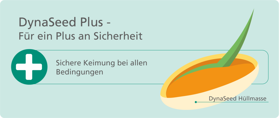 Grafik zu DynaSeed Plus mit einer stilisierten, beschichteten Saatkornhälfte und Hinweis auf sichere Keimung unter allen Bedingungen.